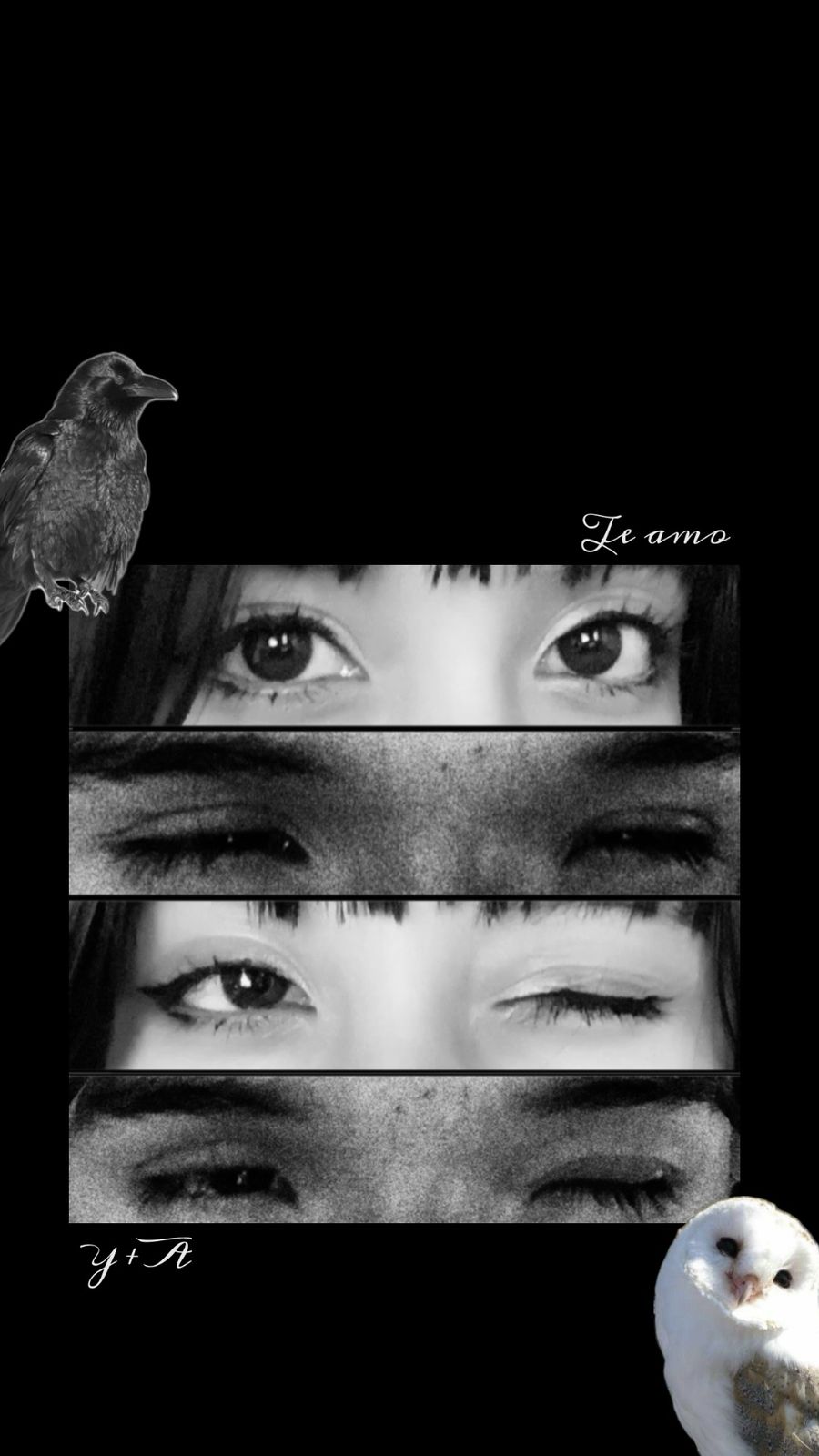 Nuestro Fondo de Pantalla